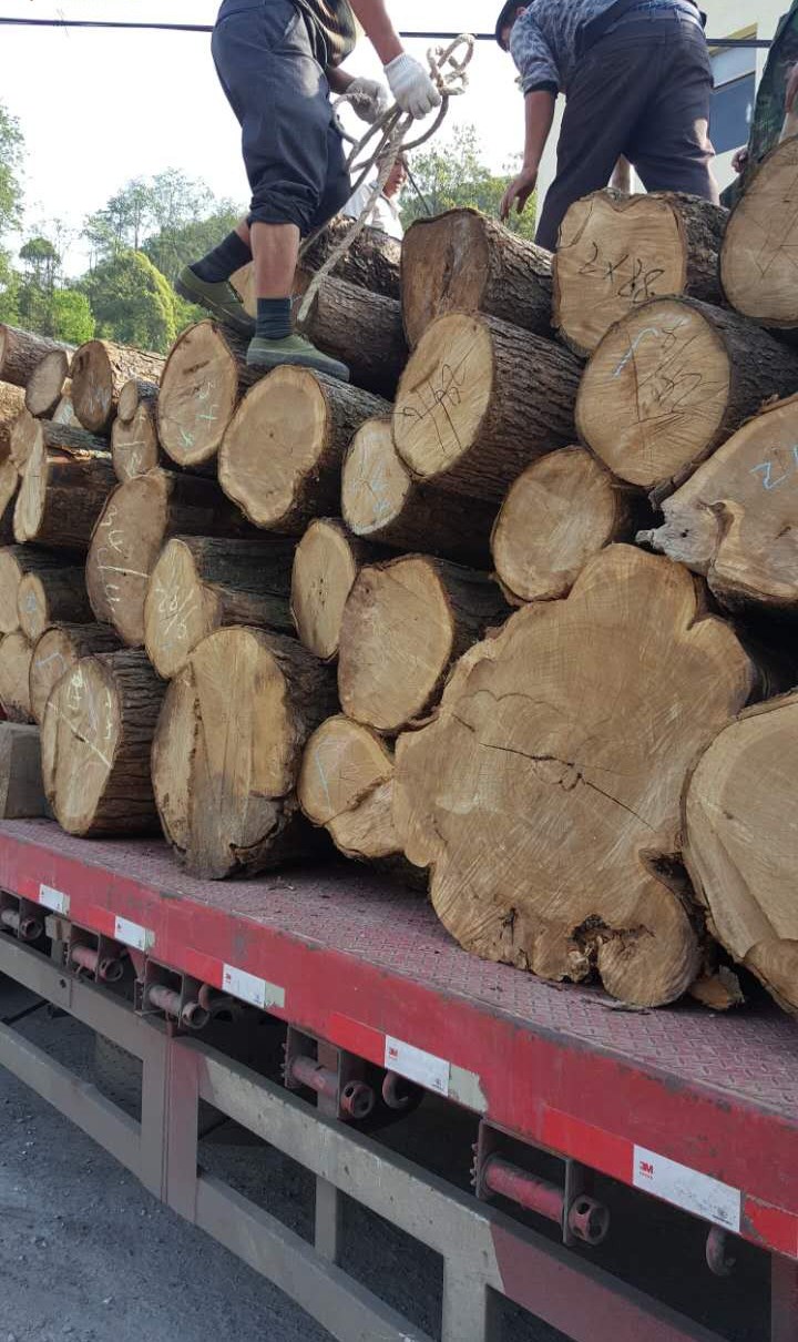 楸木，紅椿，香柏木原木批發(fā)