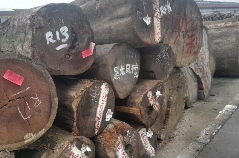 甘藍(lán)豆，黑龍鳳檀