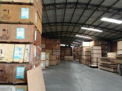 工廠直銷 GT 皇冠夾板 馬來西亞進口夾板圖3