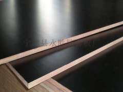 自產(chǎn)自銷建筑模板、包裝箱板山東現(xiàn)貨圖3