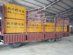 益陽(yáng)廠家直銷小紅板建筑模板木模板竹膠板圖3