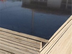 廠家直銷施工專用建筑模板、高硬度黑模板現(xiàn)貨批零圖2