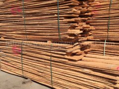 金威木業(yè)歐洲櫸木 實木板 板材 毛邊板 櫸木 山毛櫸 水青岡圖3