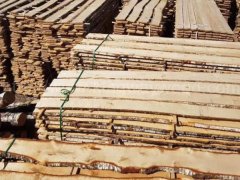 金威木業(yè)歐洲材 樺木 白樺 歐洲樺木 板材 毛邊 實(shí)木ABC圖2