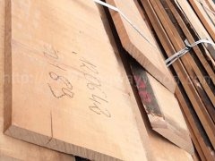 金威木業(yè)歐洲櫸木 山毛櫸 櫸木 實(shí)木板 毛邊板 木板 木料圖2