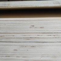 廠家專業(yè)供應一次兩次成型膠合板 包裝板 桃花心 漂白楊木