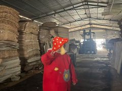 泡桐板板皮高品質(zhì)低價(jià)圖2